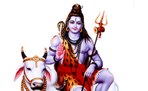 Astrologerravishankar